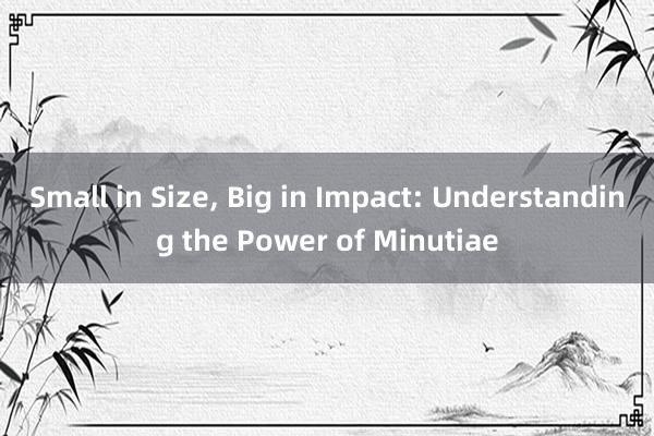 Small in Size， Big in Impact: Understanding the Power of Minutiae